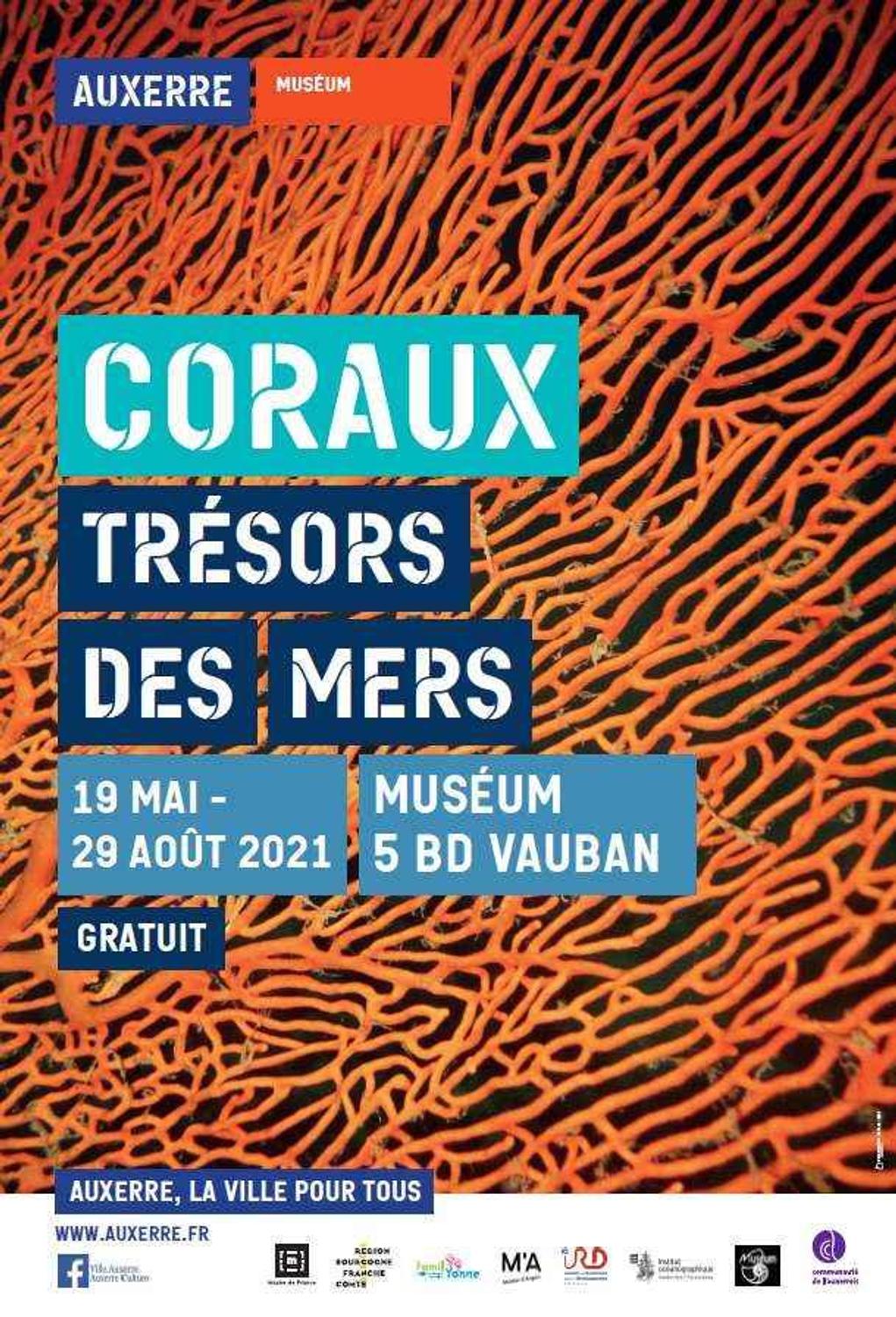 Visuel exposition Coraux, trésors des mers