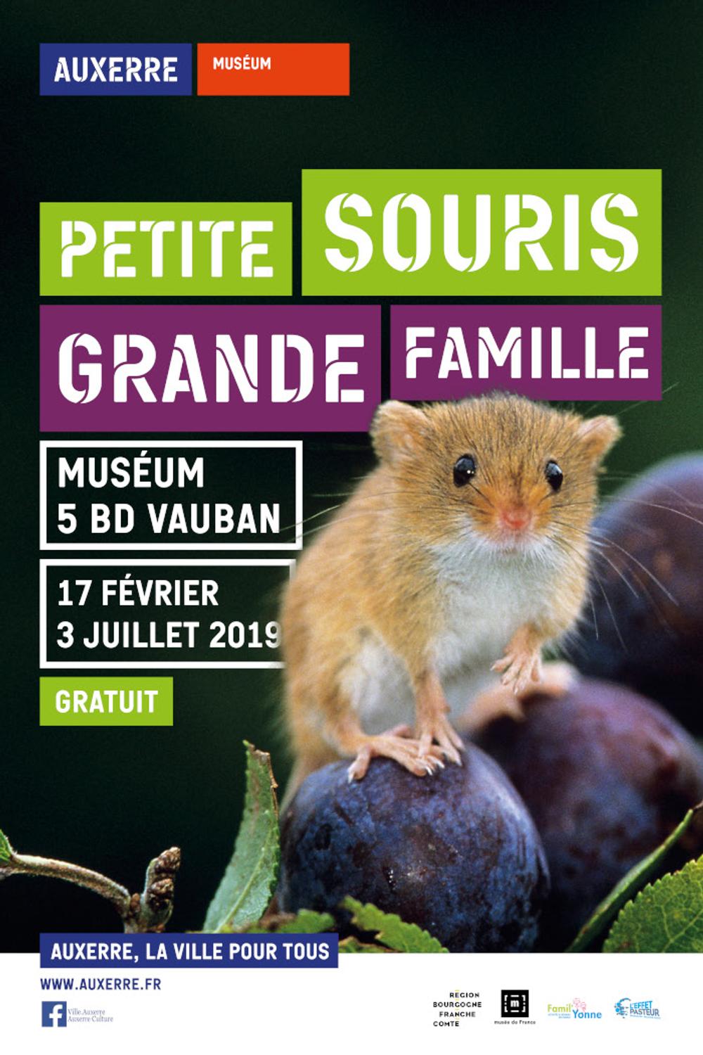 Visuel expo Petite souris, grande famille