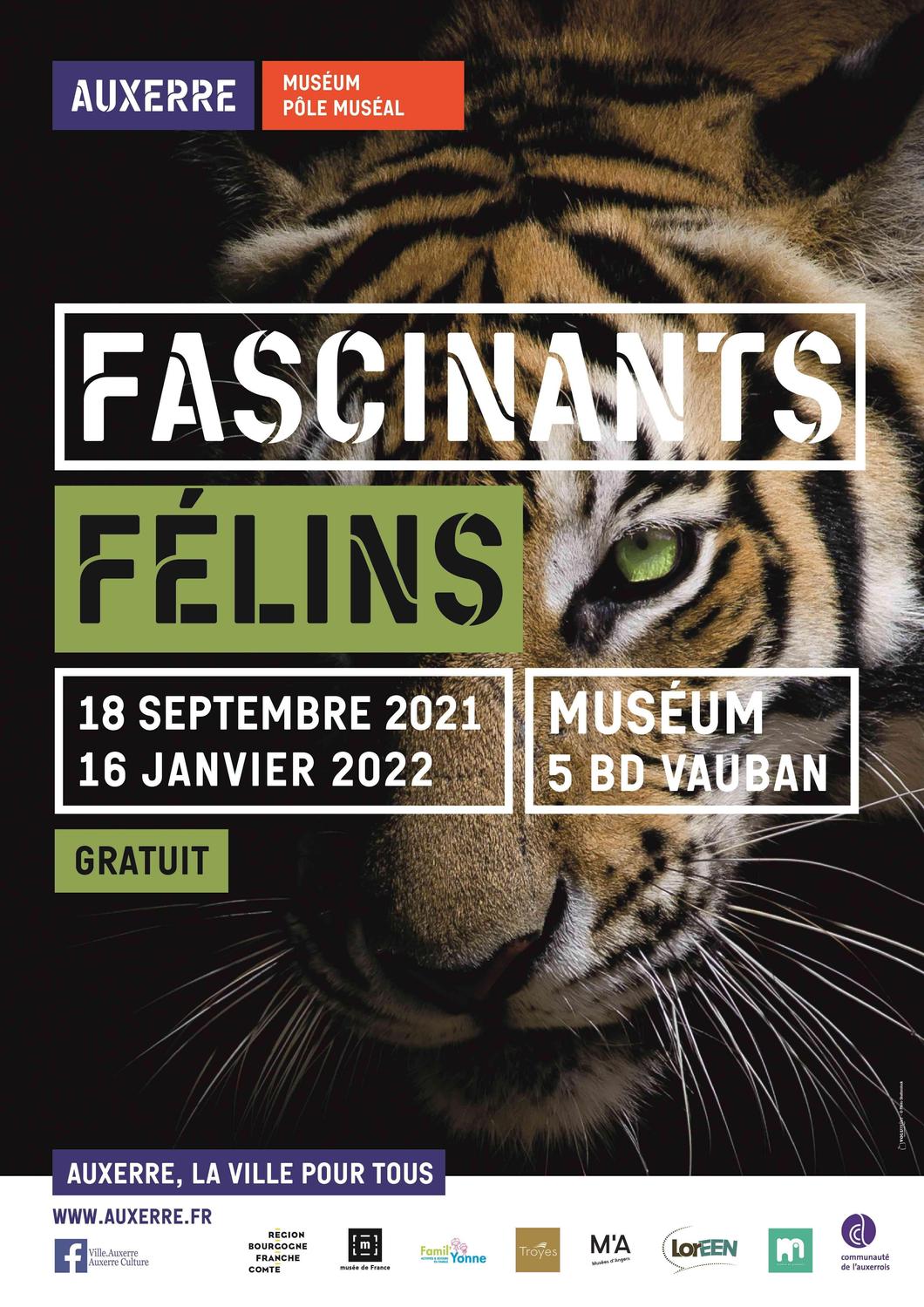 Visuel exposition Fascinants félins